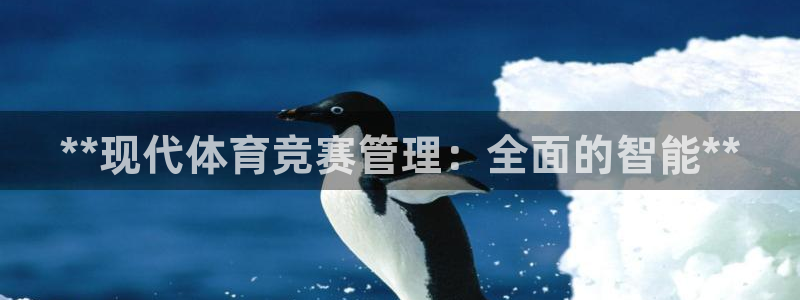 必一体育运动平台官网