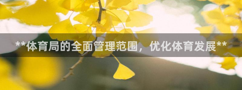 必一体育官方app下