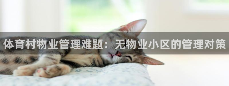 必一体育下载登入：体