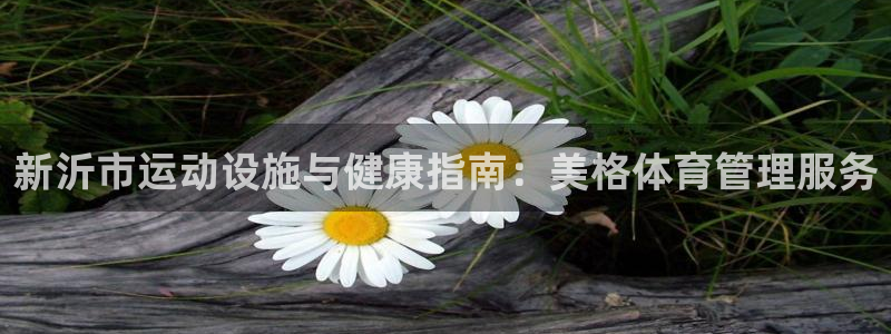 必一体育登录入口：新