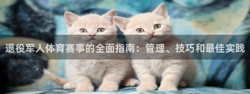 必一体育APP下载安