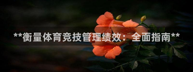 b体育官网下载入口a
