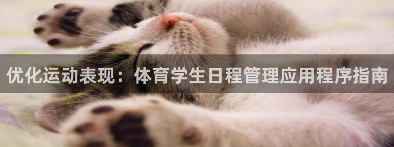 必一运动·(B-Sp