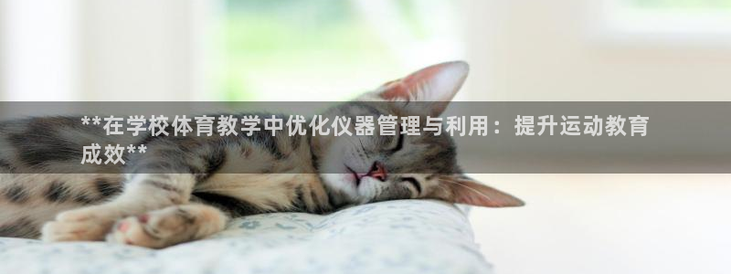 必一体育是啥：**在
