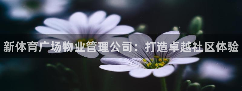 必一运动短信：新体育