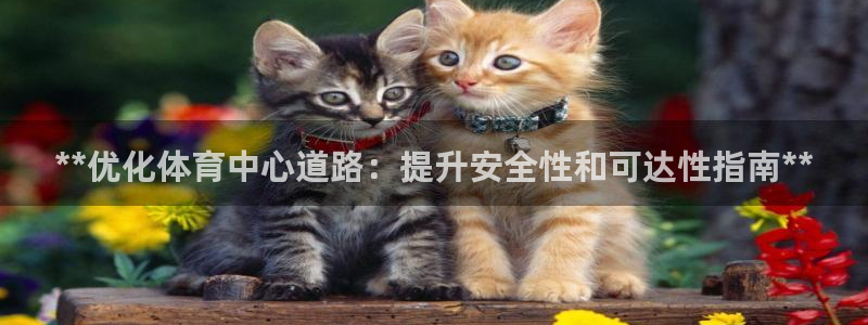 必一运动sport爱