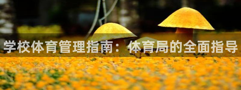 必一体育下载入口：学