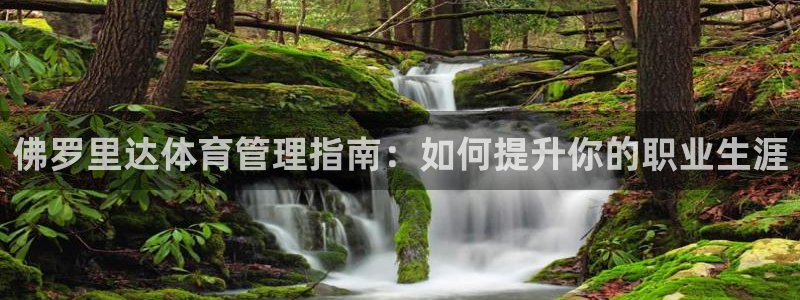 必一体育sport装