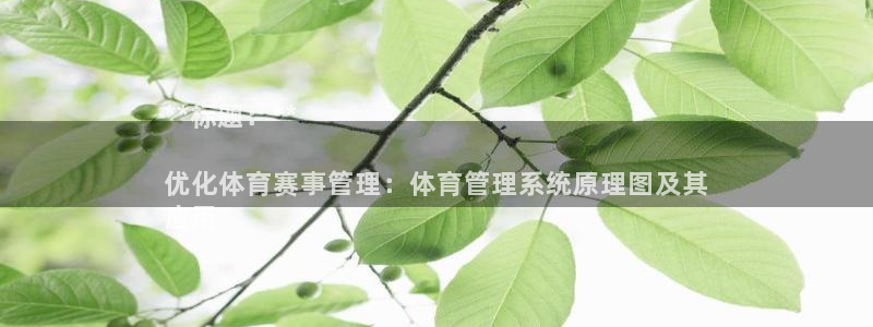b体育官网下载入口a