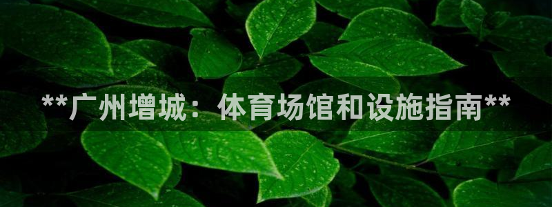 必十二和必一的副作用