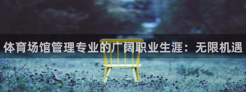 必一运动听的歌：体育