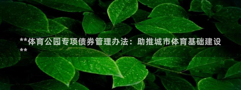 必一体育网页：**体
