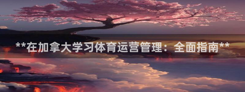 必一体育游戏特色：*