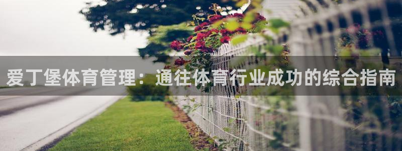 Bsport体育ap