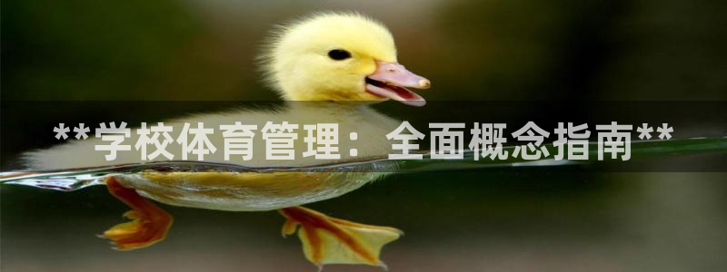 必一体育可靠吗：**