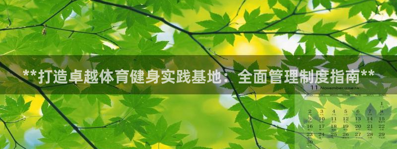 必一体育怎么下载：*