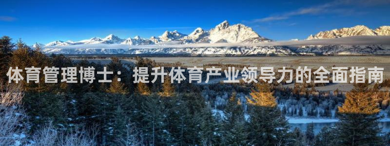 必一体育手机下载：体