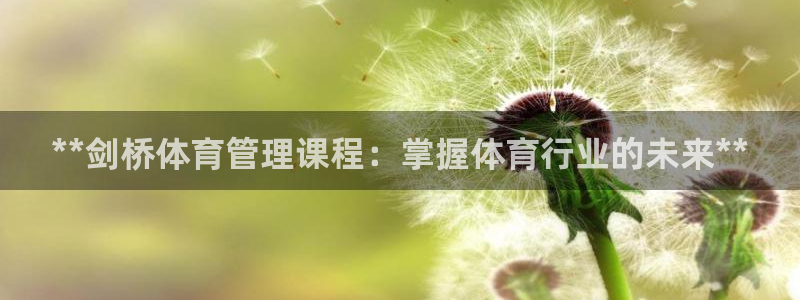 必一体育bsport