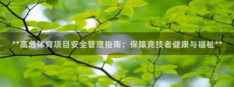 b体育官网下载入口a