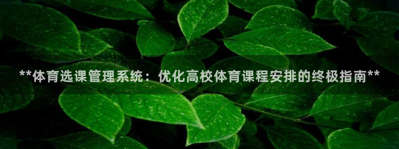 必一运动·体育：**