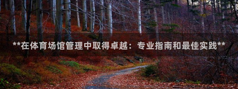 必一运动bsport
