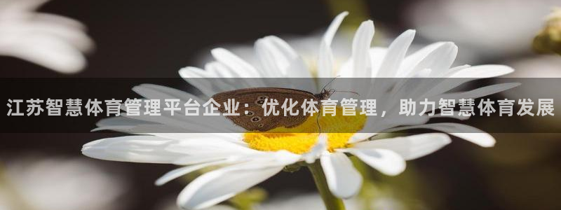 必一运动·(b-sp