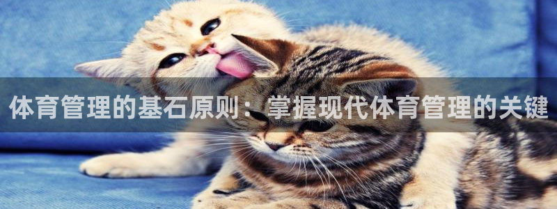 必一体育下载秀给网：