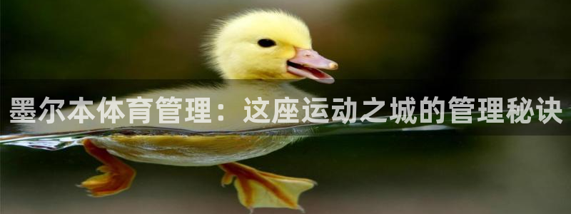 必一运动体育：墨尔本
