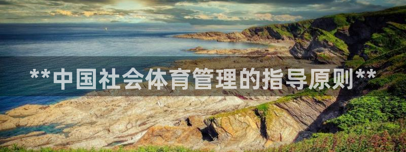 必一体育网页登录版官