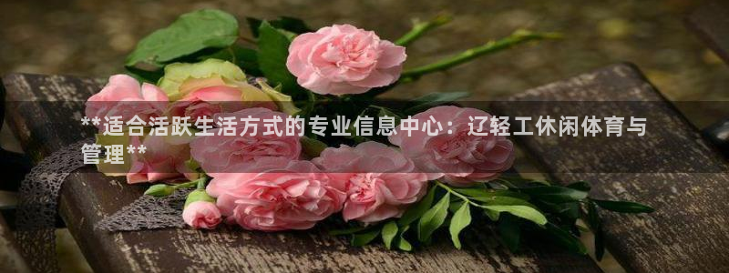 必一运动 b 体育素