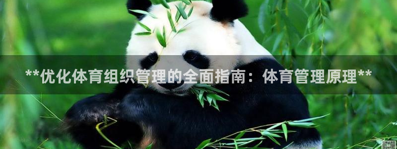 必一体育下载app：