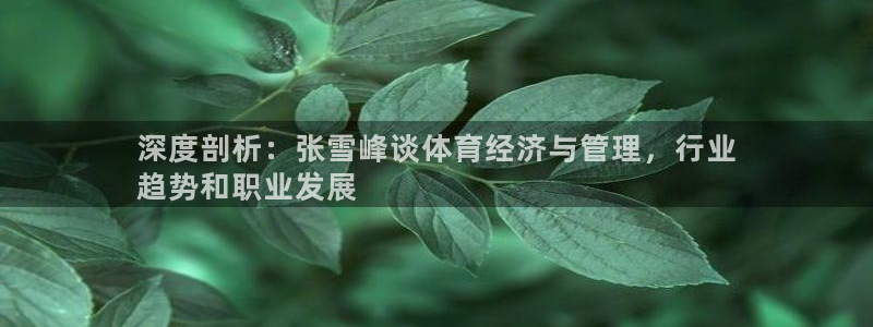 必一体育是哪里的台子