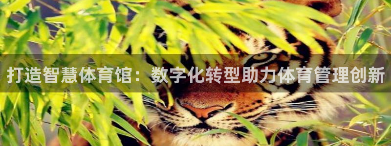 必一体育官网网址：打