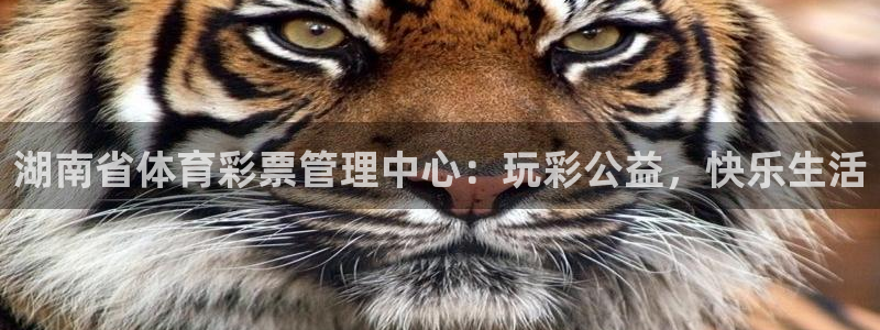 必一体育sportB