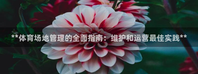 必一体育登录入口：*