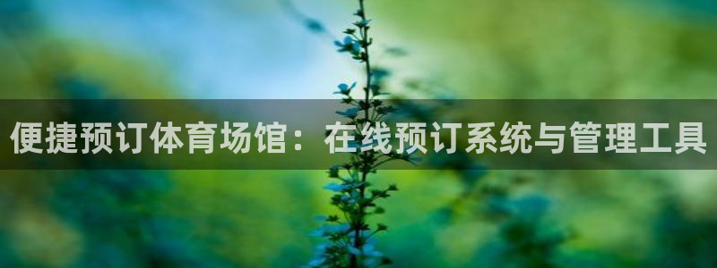 必一体育网页登陆：便