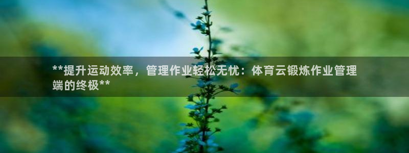 必一体育登录入口AP