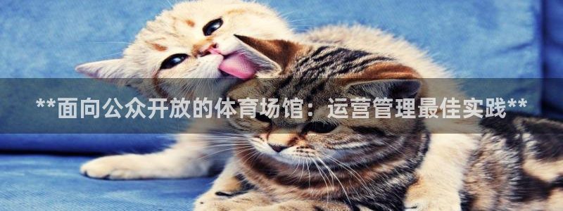 必一体育sport网