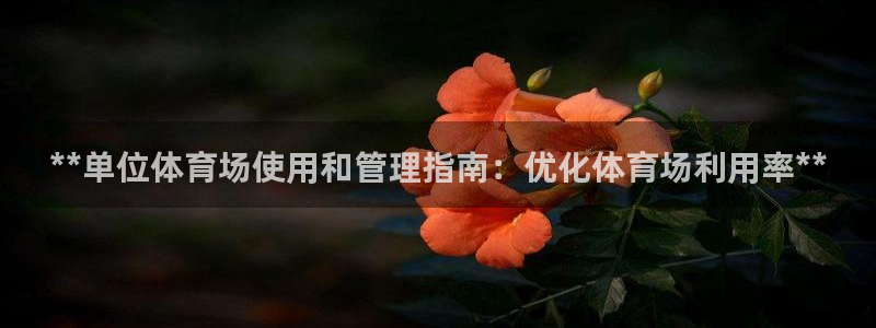 必一体育黑平台：**