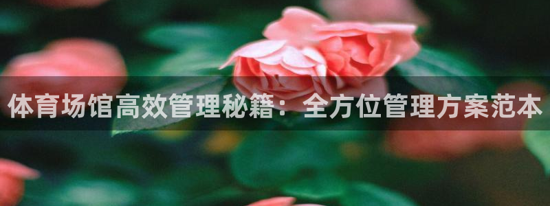 必一体育下载移动版：