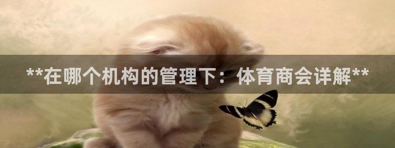 必一运动官网登录入口