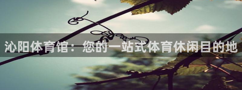 必一体育周公：沁阳体