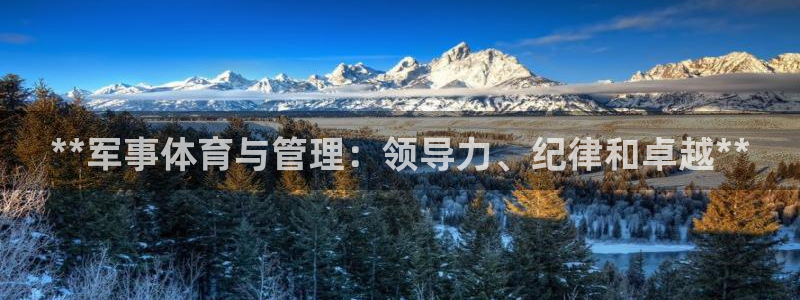 必十二和必一的副作用