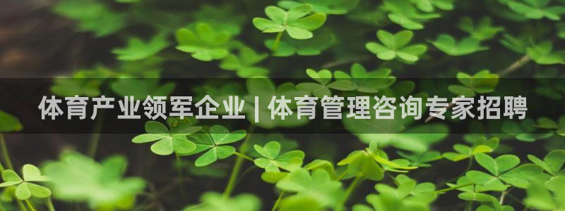 必一体育sportB