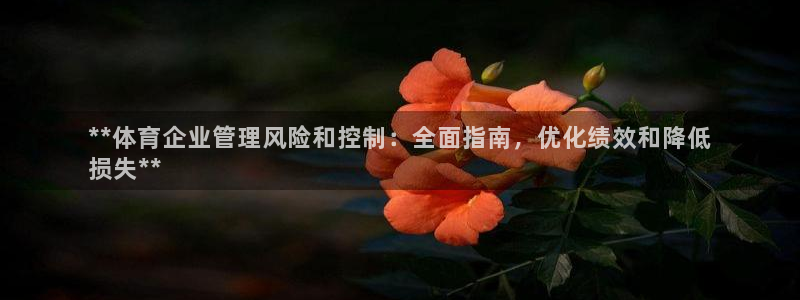 必一体育官网网址：*
