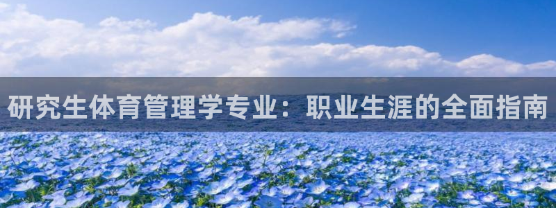 必一体育网页登录版官