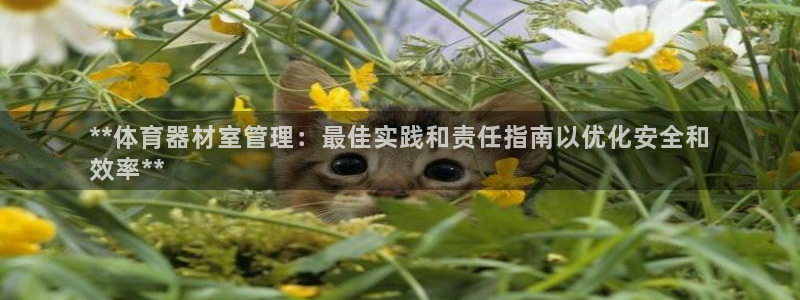 必一体育APP：**