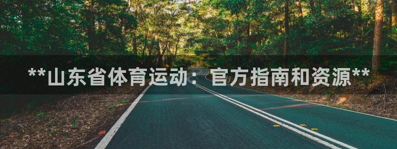 必一体育运动下载：*