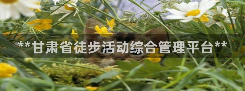 必一体育app官方：