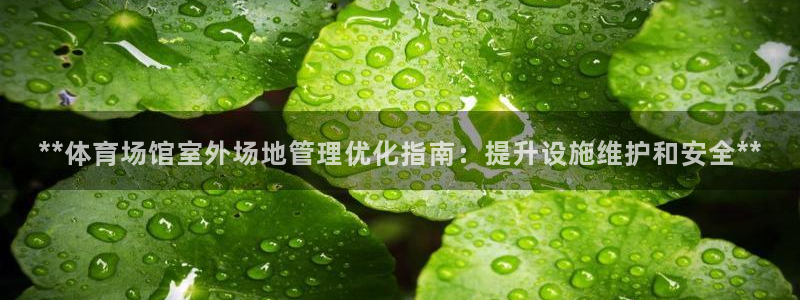 必一体育秀给网：**